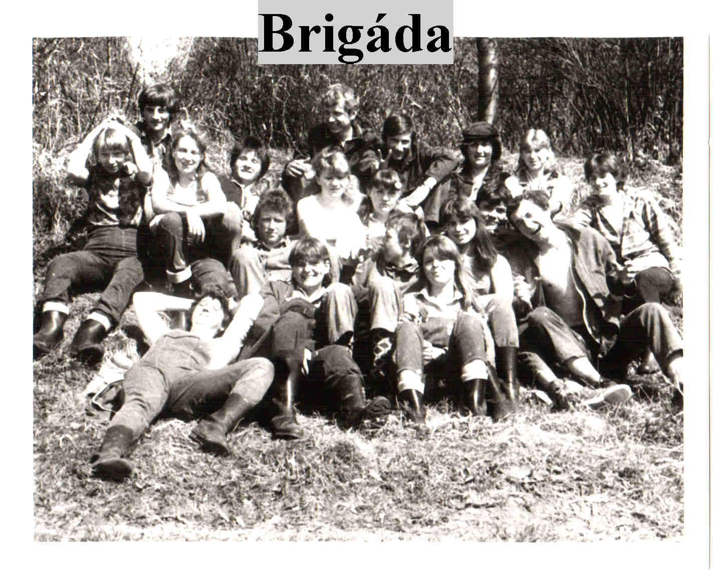 brigáda.jpg